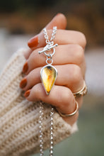 Load image into Gallery viewer, Amber Toggle Necklace
